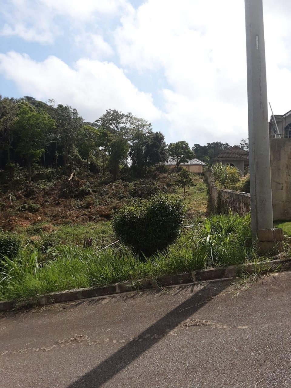 Ninth image of Lot 149 Moorlands Manor p in Mandeville, Manchester, Jamaica - property is For Sale