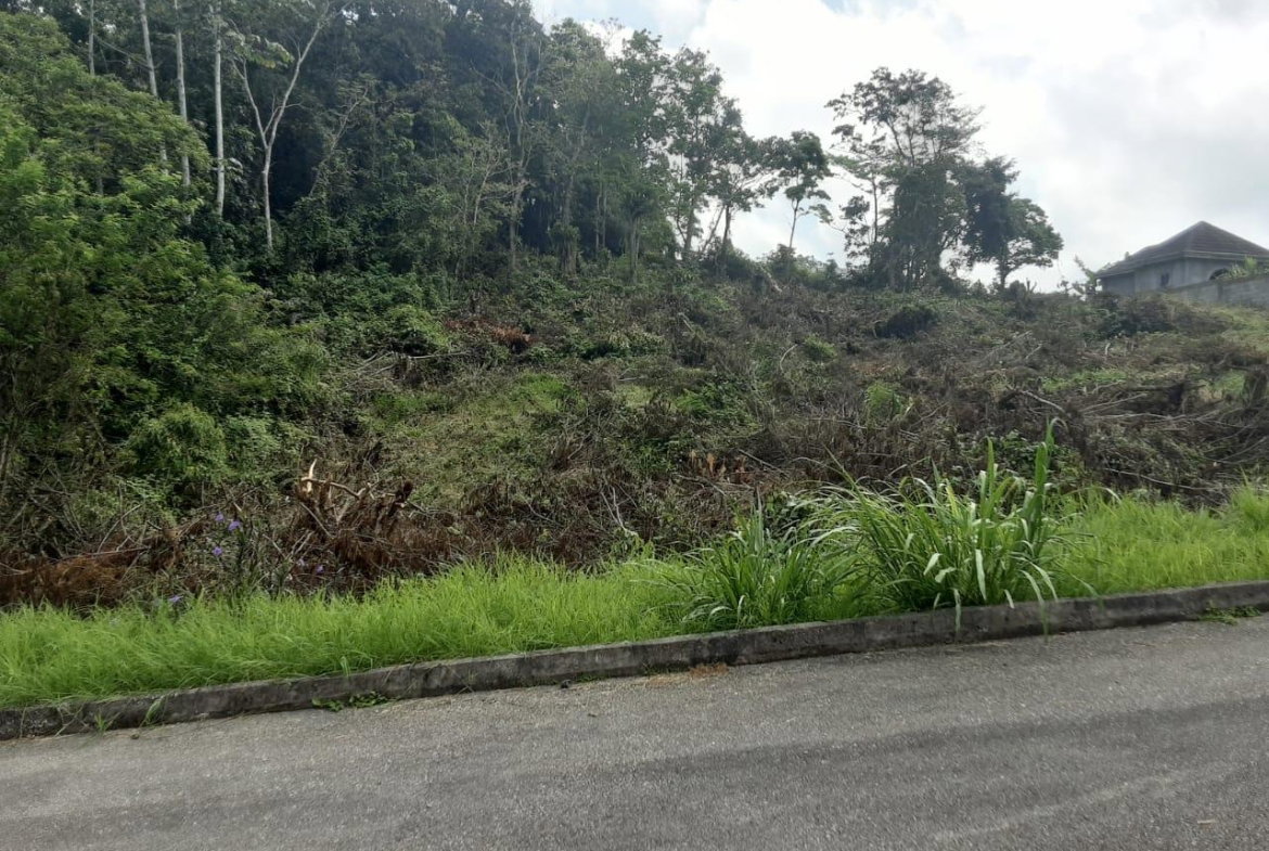 Tenth image of Lot 149 Moorlands Manor p in Mandeville, Manchester, Jamaica - property is For Sale