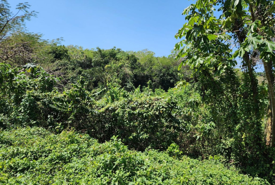 Sixteenth image of 41 Negril Estates in Negril, Westmoreland, Jamaica - property is For Sale