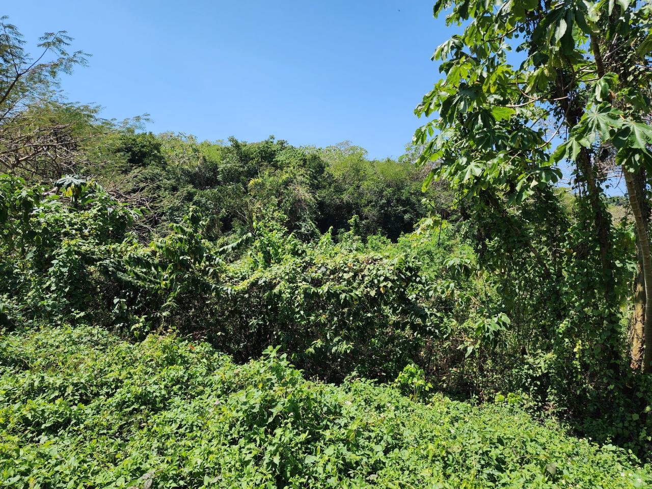 Sixteenth image of 41 Negril Estates in Negril, Westmoreland, Jamaica - property is For Sale