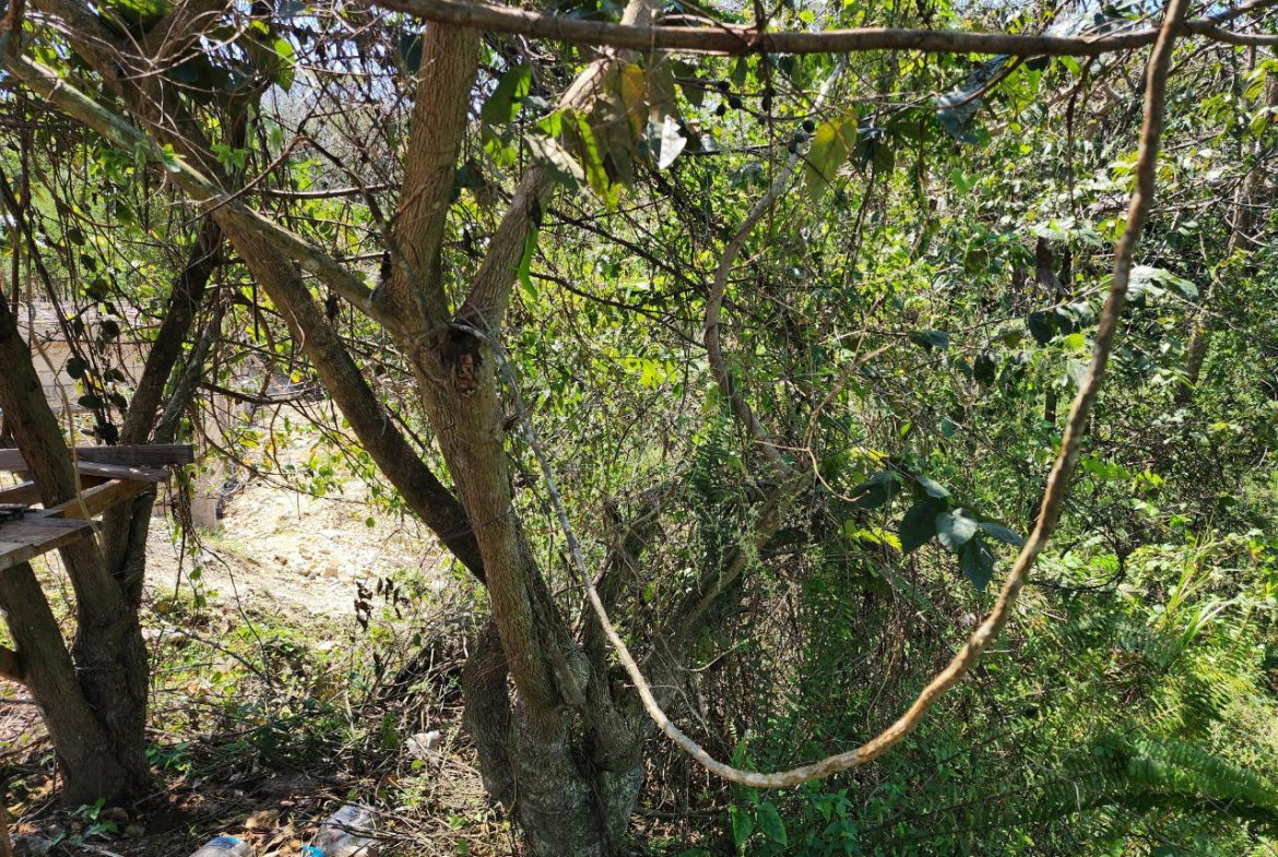 Seventeenth image of 41 Negril Estates in Negril, Westmoreland, Jamaica - property is For Sale