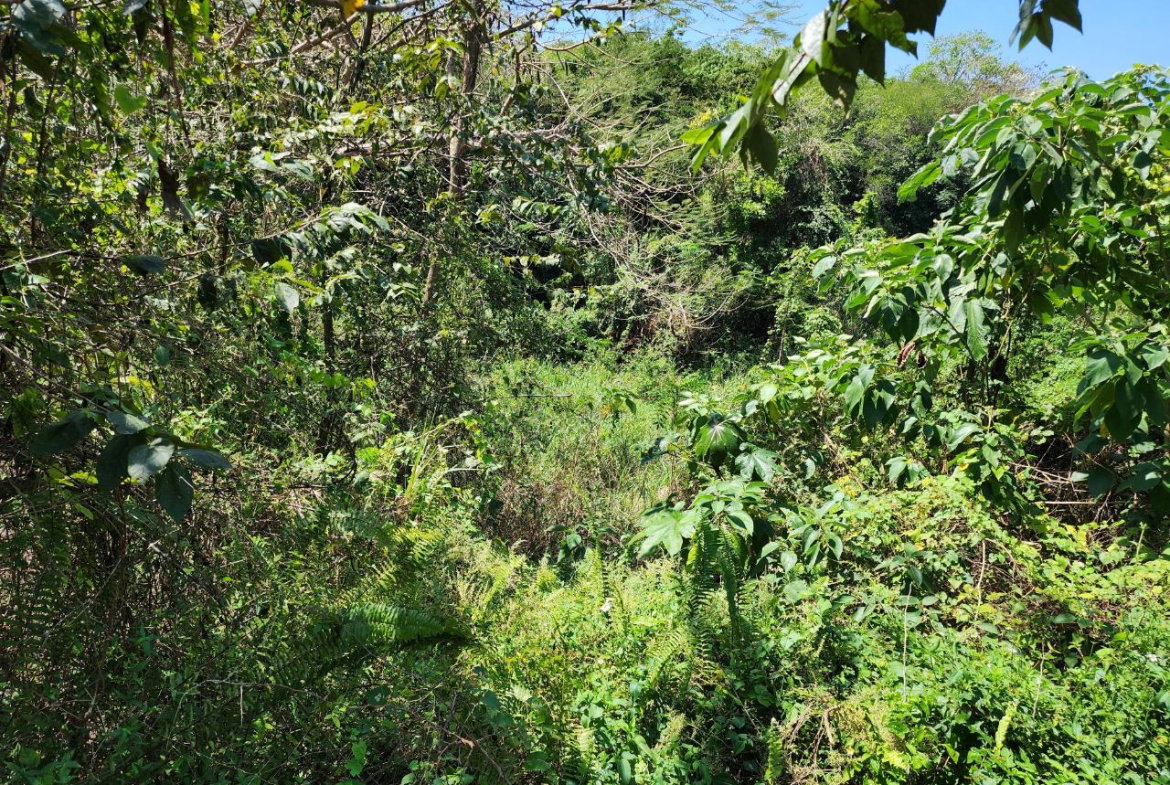 Eighteenth image of 41 Negril Estates in Negril, Westmoreland, Jamaica - property is For Sale