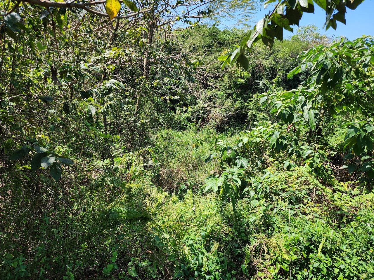 Eighteenth image of 41 Negril Estates in Negril, Westmoreland, Jamaica - property is For Sale