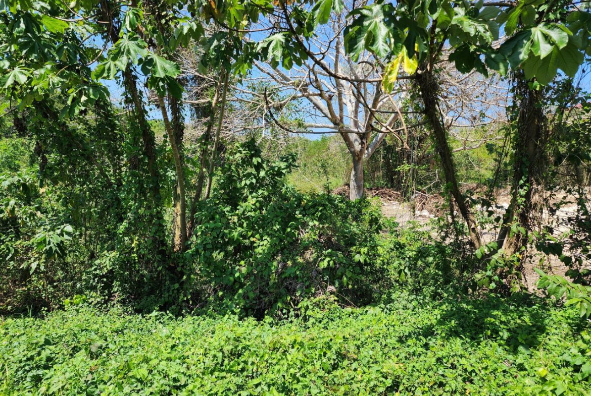 Nineteenth image of 41 Negril Estates in Negril, Westmoreland, Jamaica - property is For Sale