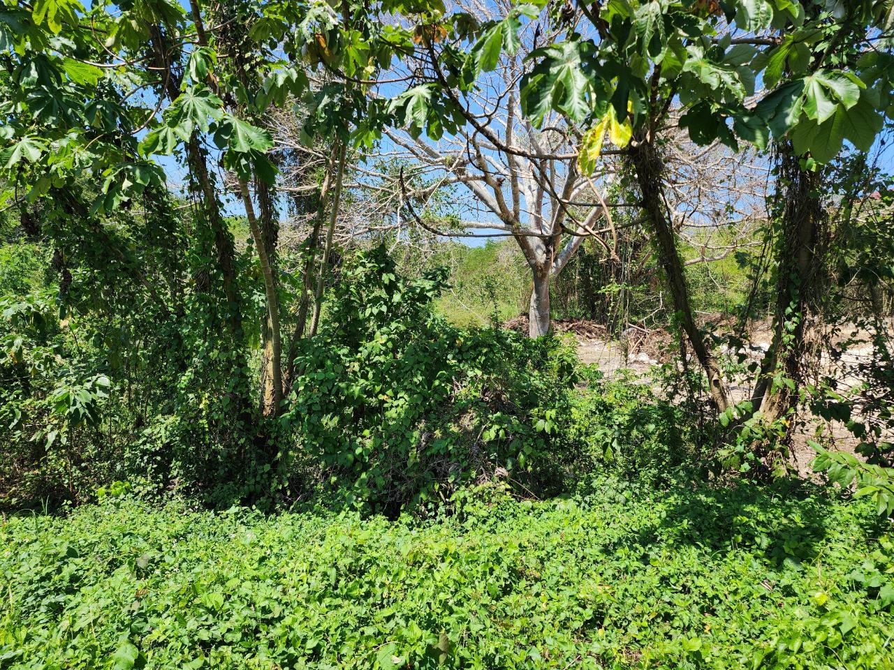 Nineteenth image of 41 Negril Estates in Negril, Westmoreland, Jamaica - property is For Sale