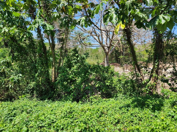 Nineteenth image of 41 Negril Estates in Negril, Westmoreland, Jamaica - property is For Sale