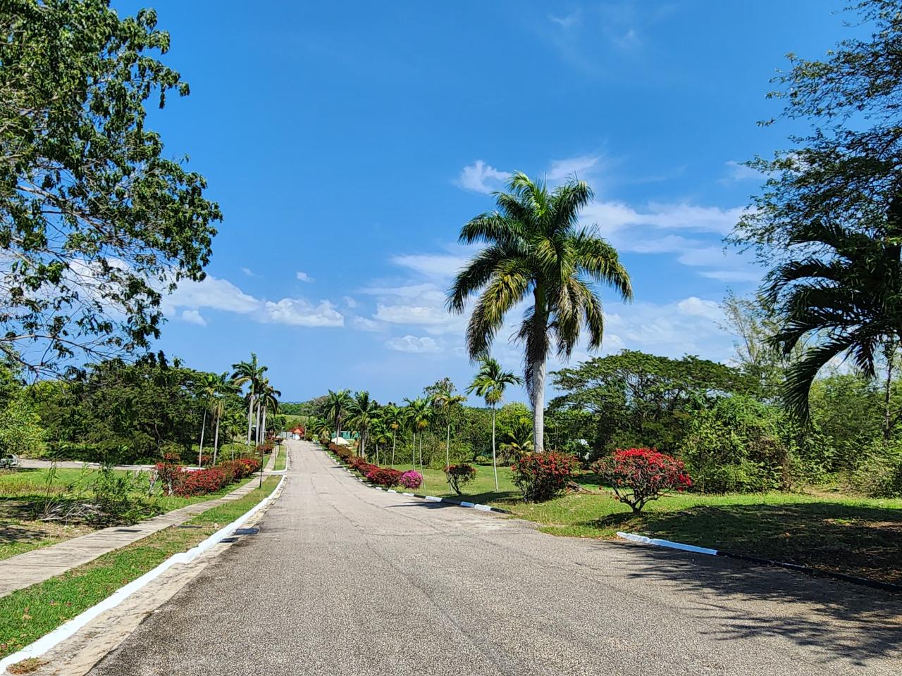 Third image of 41 Negril Estates in Negril, Westmoreland, Jamaica - property is For Sale