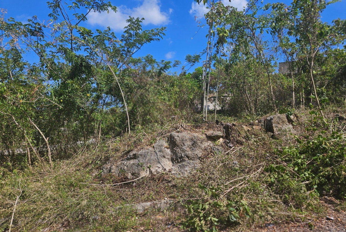 Second image of 846 Whitehall in Negril, Westmoreland, Jamaica - property is For Sale
