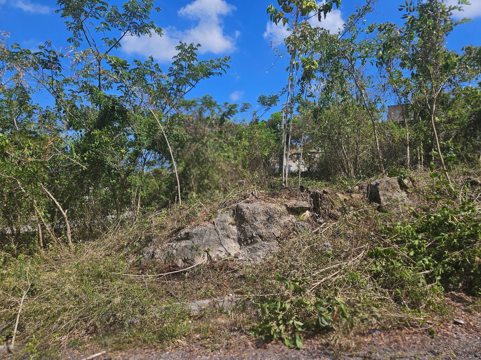 Prime-Residential-Lot-for-Sale-in-Negril-Jamaica-Build-Your-Dream-Home Second image of 846 Whitehall in Negril, Westmoreland, Jamaica - property is For Sale