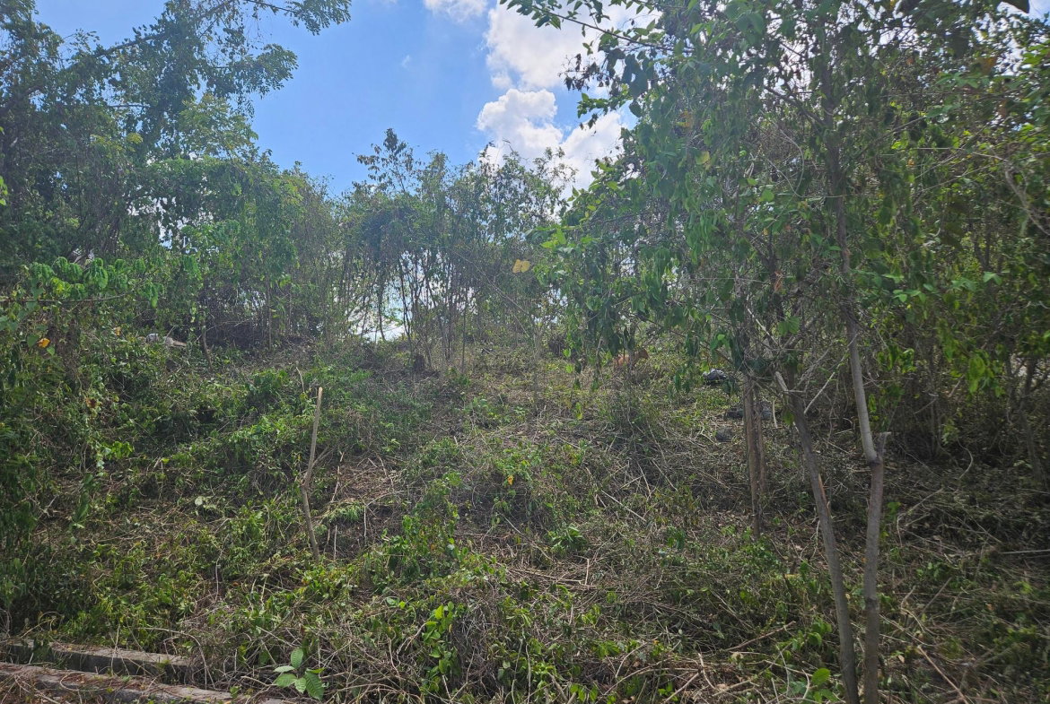 First image of 846 Whitehall in Negril, Westmoreland, Jamaica - property is For Sale