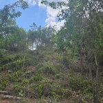 First image of 846 Whitehall in Negril, Westmoreland, Jamaica - property is For Sale