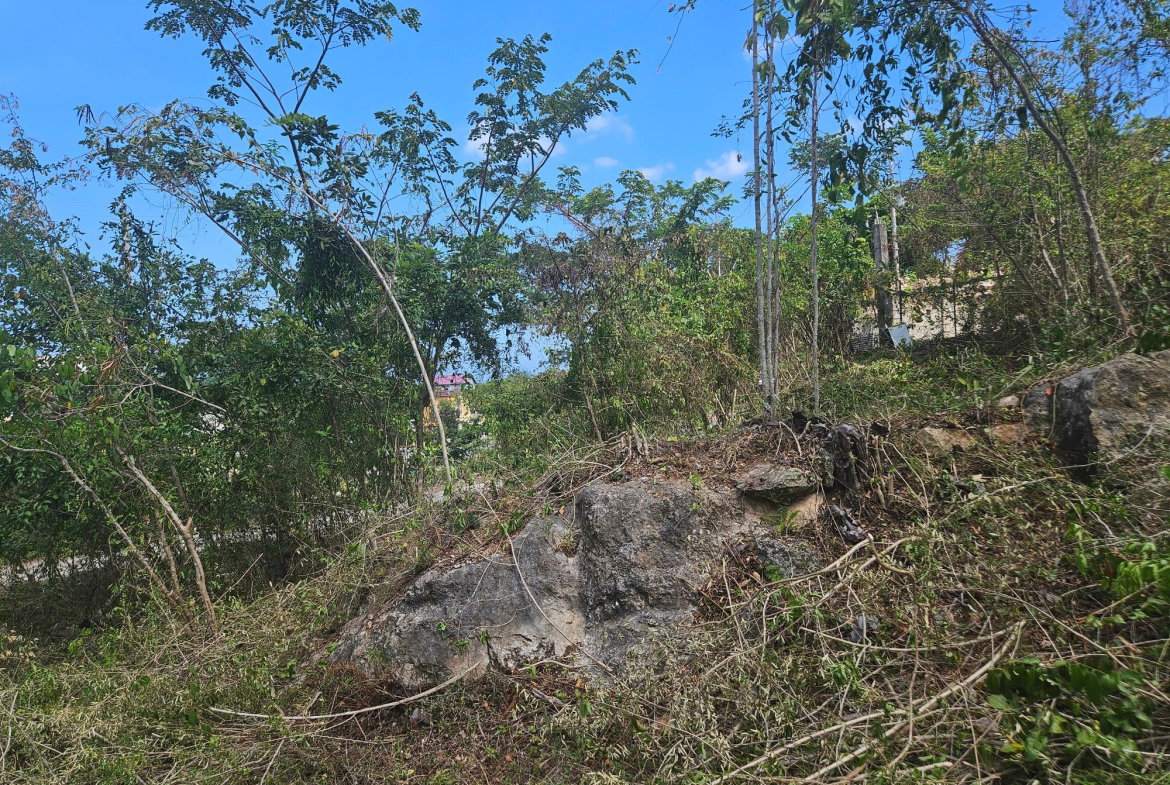 Third image of 846 Whitehall in Negril, Westmoreland, Jamaica - property is For Sale