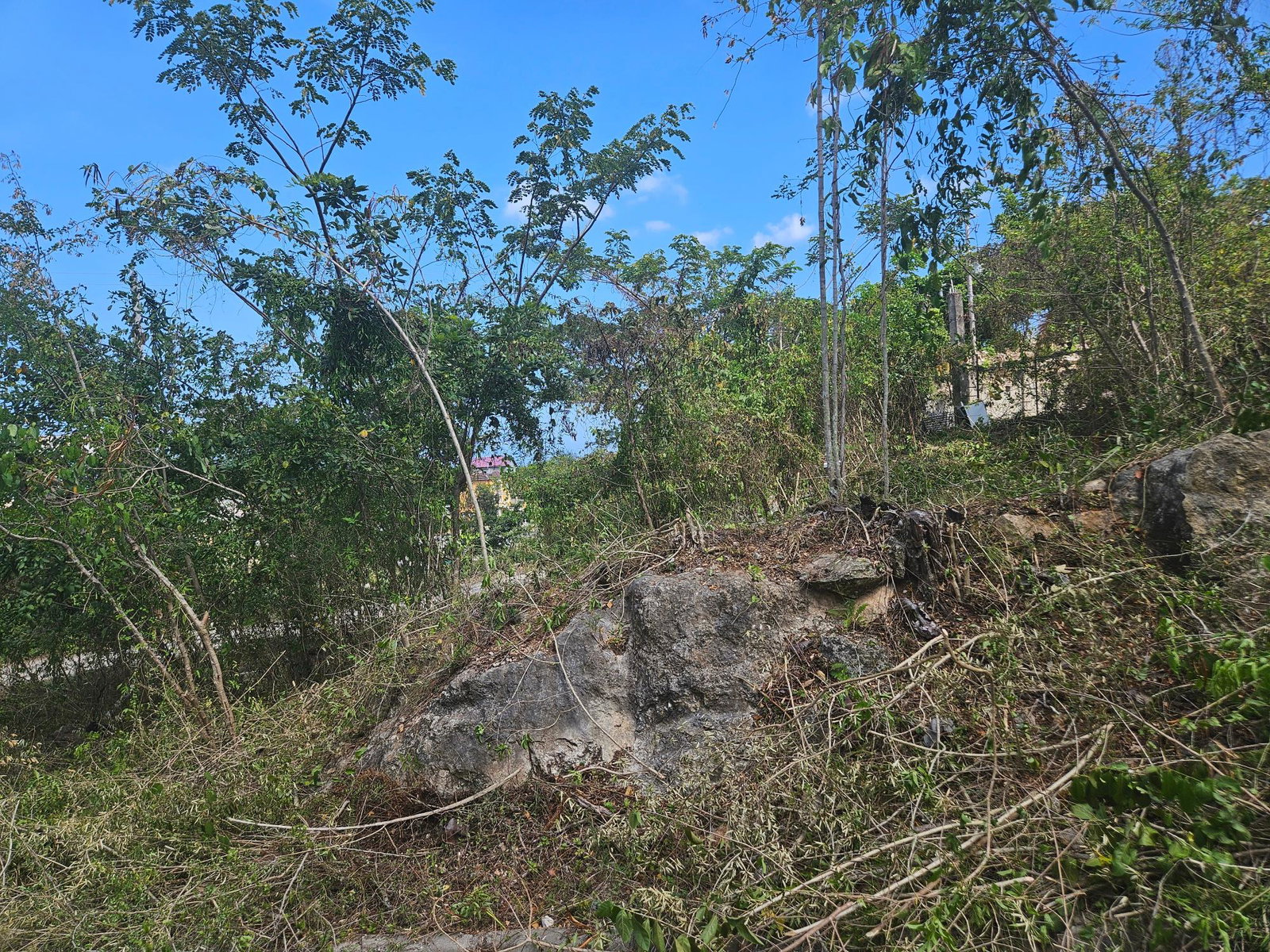 Prime-Residential-Lot-for-Sale-in-Negril-Jamaica-Build-Your-Dream-Home Third image of 846 Whitehall in Negril, Westmoreland, Jamaica - property is For Sale