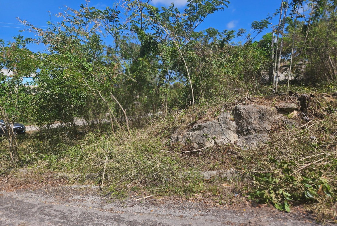 Fourth image of 846 Whitehall in Negril, Westmoreland, Jamaica - property is For Sale