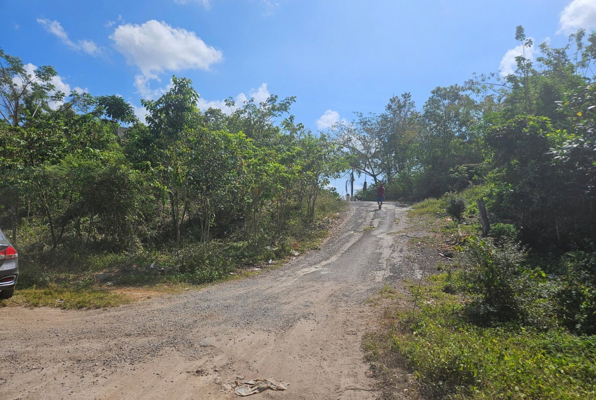 Sixth image of 846 Whitehall in Negril, Westmoreland, Jamaica - property is For Sale