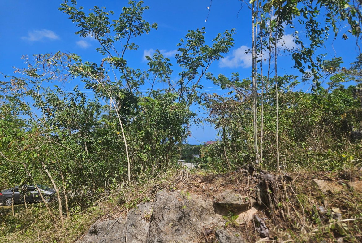 Seventh image of 846 Whitehall in Negril, Westmoreland, Jamaica - property is For Sale