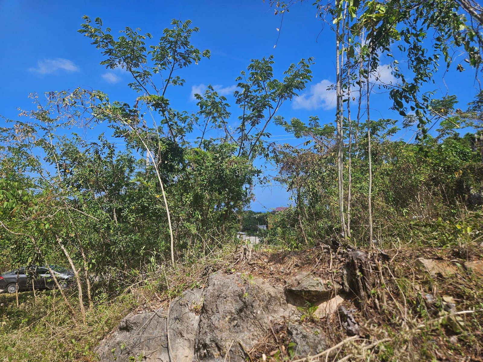 Prime-Residential-Lot-for-Sale-in-Negril-Jamaica-Build-Your-Dream-Home Seventh image of 846 Whitehall in Negril, Westmoreland, Jamaica - property is For Sale