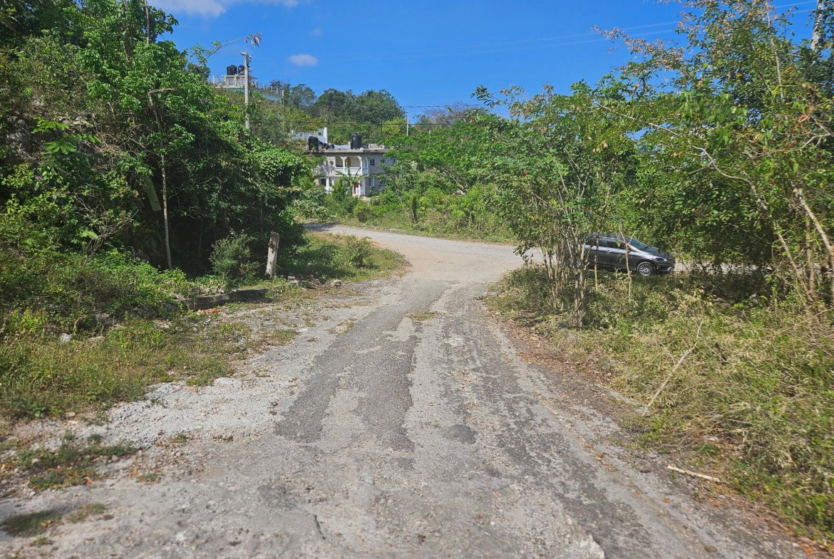 Eighth image of 846 Whitehall in Negril, Westmoreland, Jamaica - property is For Sale