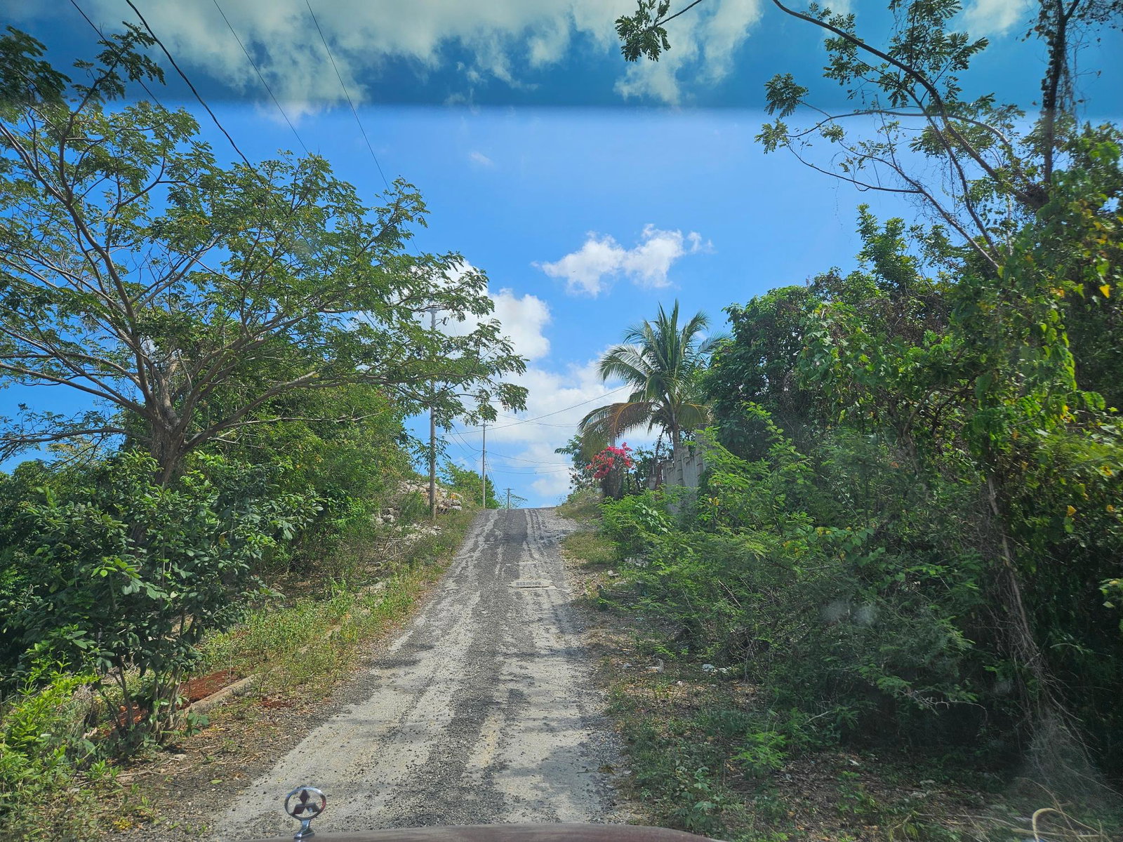 Prime-Residential-Lot-for-Sale-in-Negril-Jamaica-Build-Your-Dream-Home Tenth image of 846 Whitehall in Negril, Westmoreland, Jamaica - property is For Sale
