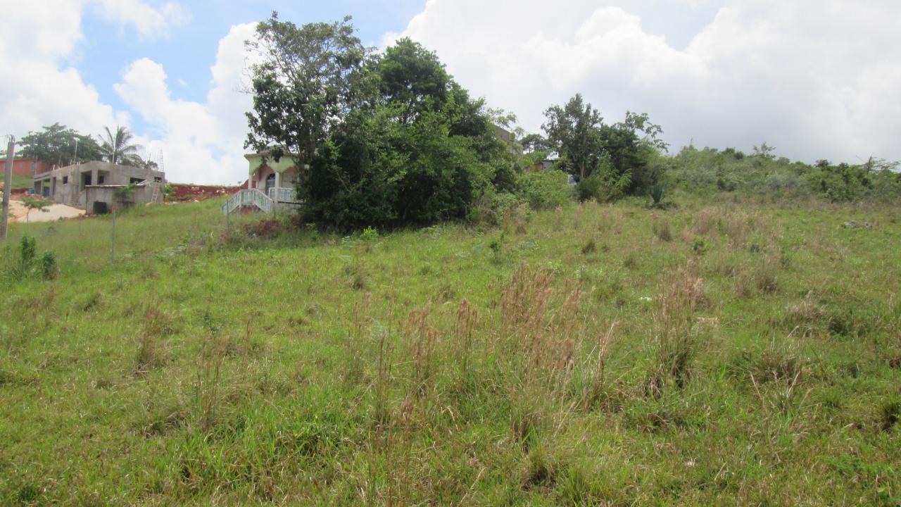 Second image of 225g New Wales, Manchester in Knockpatrick, Manchester, Jamaica - property is For Sale