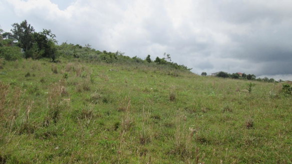 First image of 225g New Wales, Manchester in Knockpatrick, Manchester, Jamaica - property is For Sale