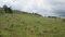 First image of 225g New Wales, Manchester in Knockpatrick, Manchester, Jamaica - property is For Sale