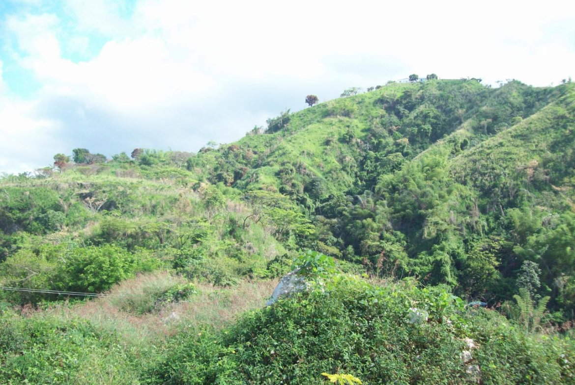 Thirteenth image of 35 Rainbow Crescent in Kingston 8, St. Andrew, Jamaica - property is For Sale