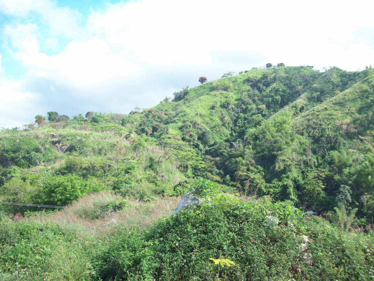 Thirteenth image of 35 Rainbow Crescent in Kingston 8, St. Andrew, Jamaica - property is For Sale