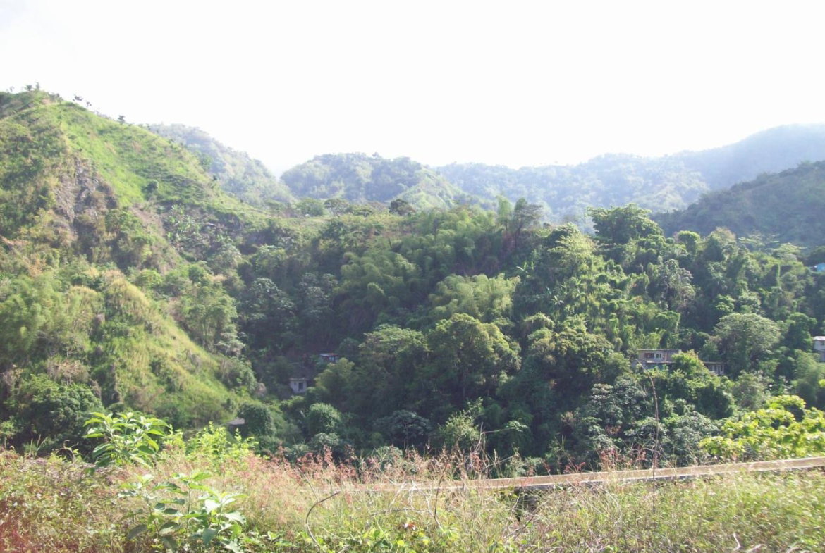 Fourteenth image of 35 Rainbow Crescent in Kingston 8, St. Andrew, Jamaica - property is For Sale