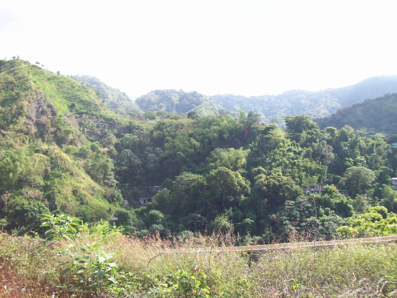 Fourteenth image of 35 Rainbow Crescent in Kingston 8, St. Andrew, Jamaica - property is For Sale