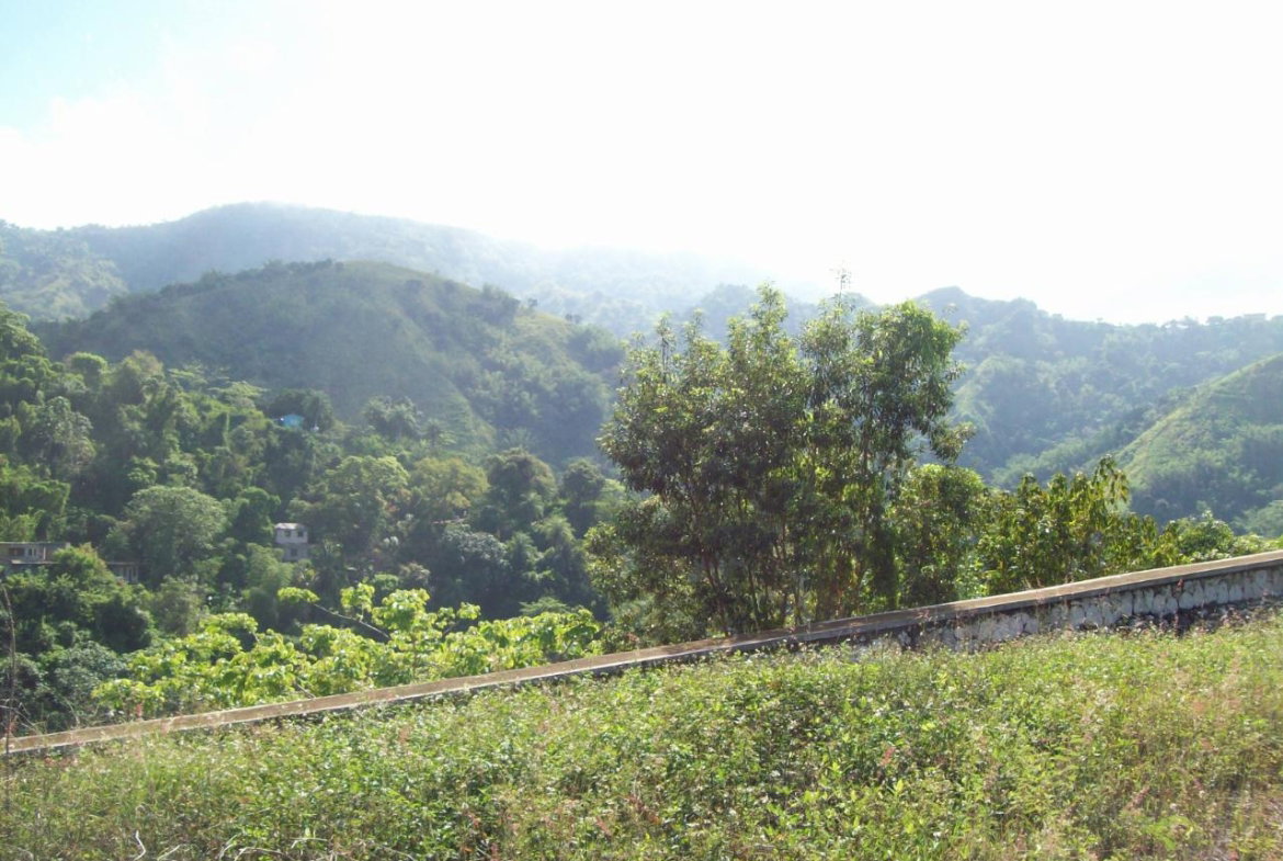 Fifteenth image of 35 Rainbow Crescent in Kingston 8, St. Andrew, Jamaica - property is For Sale