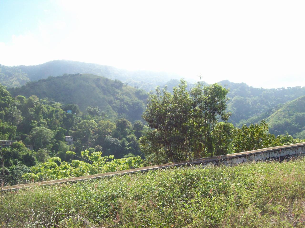 Fifteenth image of 35 Rainbow Crescent in Kingston 8, St. Andrew, Jamaica - property is For Sale