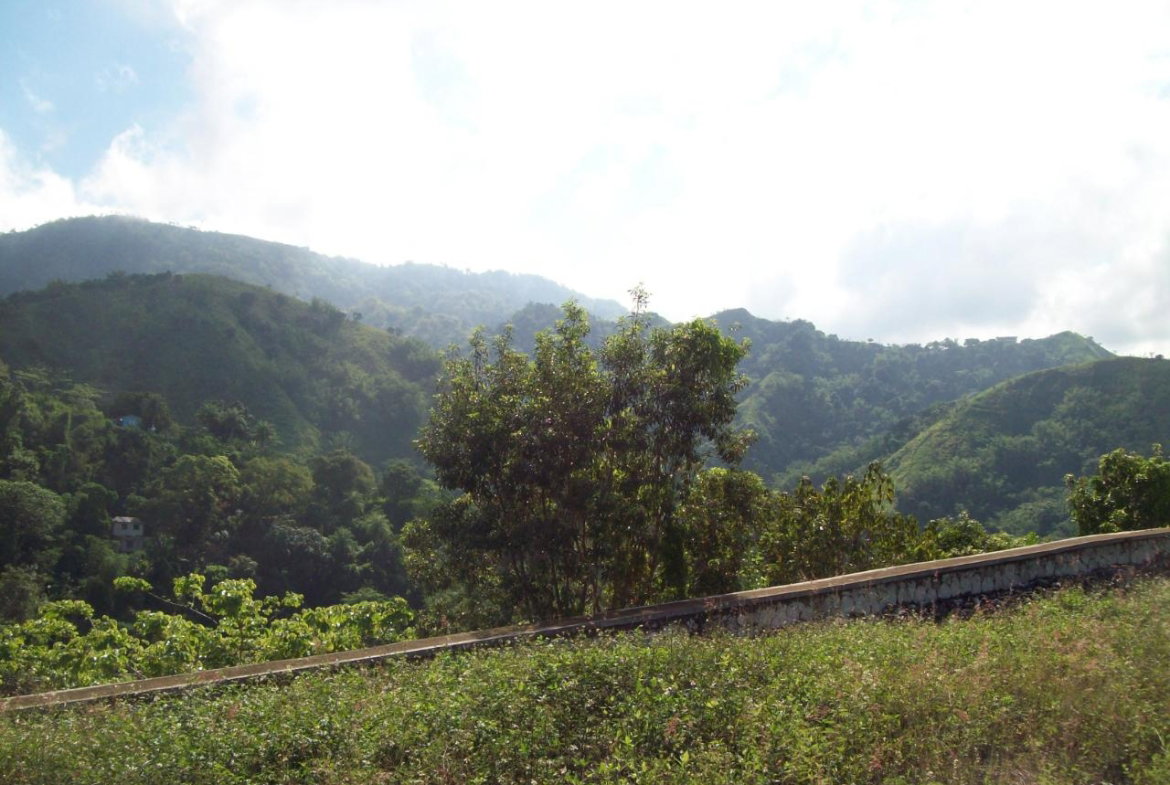 Sixteenth image of 35 Rainbow Crescent in Kingston 8, St. Andrew, Jamaica - property is For Sale