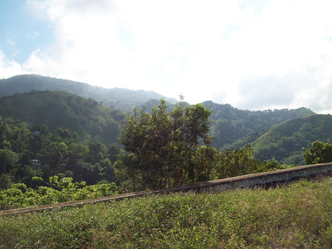 Sixteenth image of 35 Rainbow Crescent in Kingston 8, St. Andrew, Jamaica - property is For Sale