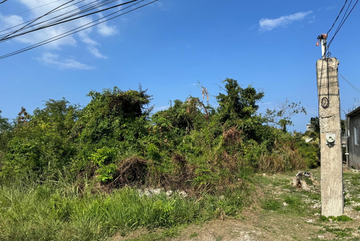 Second image of Ocean Ridge Estate in Ocean Ridge Estate, St. James, Jamaica - property is For Sale