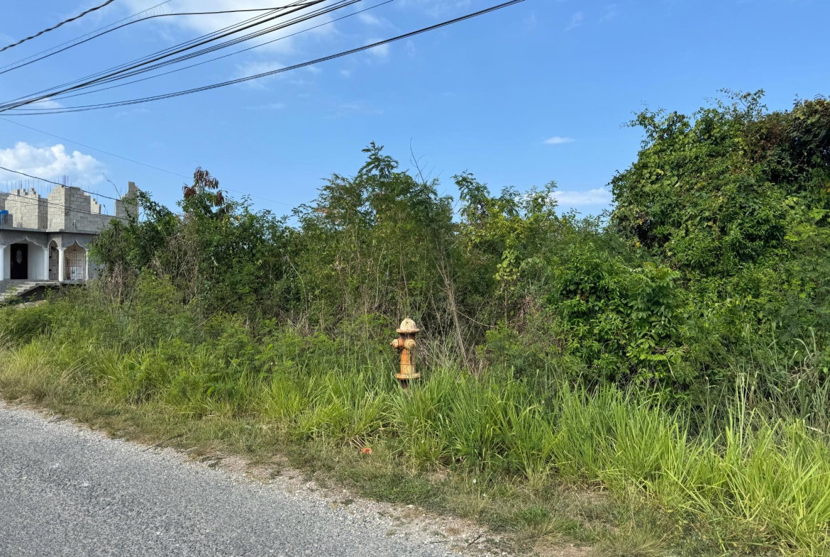Eleventh image of Ocean Ridge Estate in Ocean Ridge Estate, St. James, Jamaica - property is For Sale