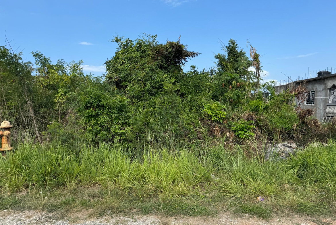 Twelfth image of Ocean Ridge Estate in Ocean Ridge Estate, St. James, Jamaica - property is For Sale