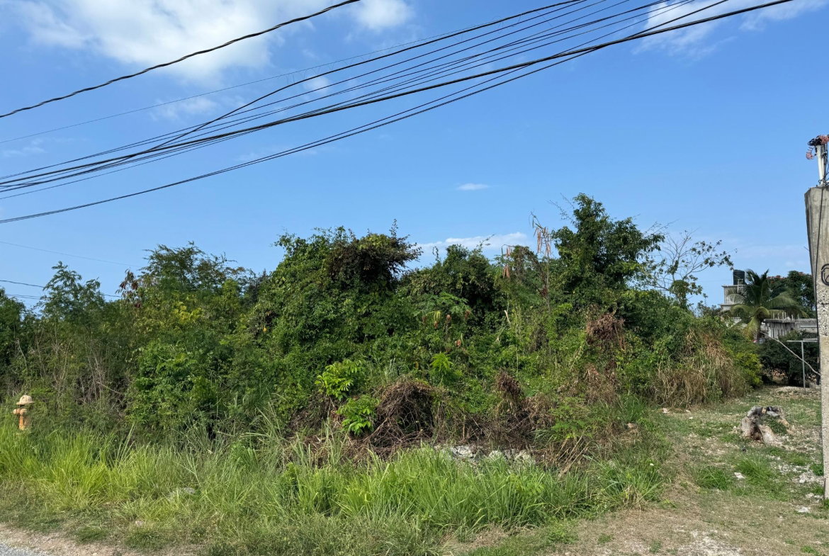 Thirteenth image of Ocean Ridge Estate in Ocean Ridge Estate, St. James, Jamaica - property is For Sale