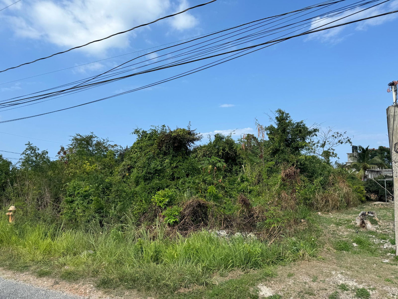 Prime-Residential-Lot-for-Sale-in-Ocean-Ridge-Estates-Jamaica Thirteenth image of Ocean Ridge Estate in Ocean Ridge Estate, St. James, Jamaica - property is For Sale