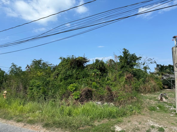 Thirteenth image of Ocean Ridge Estate in Ocean Ridge Estate, St. James, Jamaica - property is For Sale