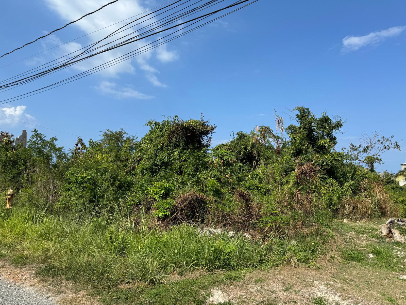 Prime-Residential-Lot-for-Sale-in-Ocean-Ridge-Estates-Jamaica Third image of Ocean Ridge Estate in Ocean Ridge Estate, St. James, Jamaica - property is For Sale