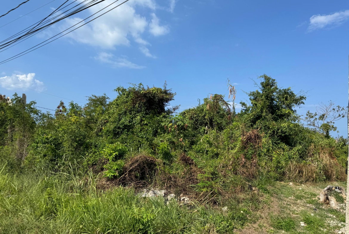 Fourth image of Ocean Ridge Estate in Ocean Ridge Estate, St. James, Jamaica - property is For Sale