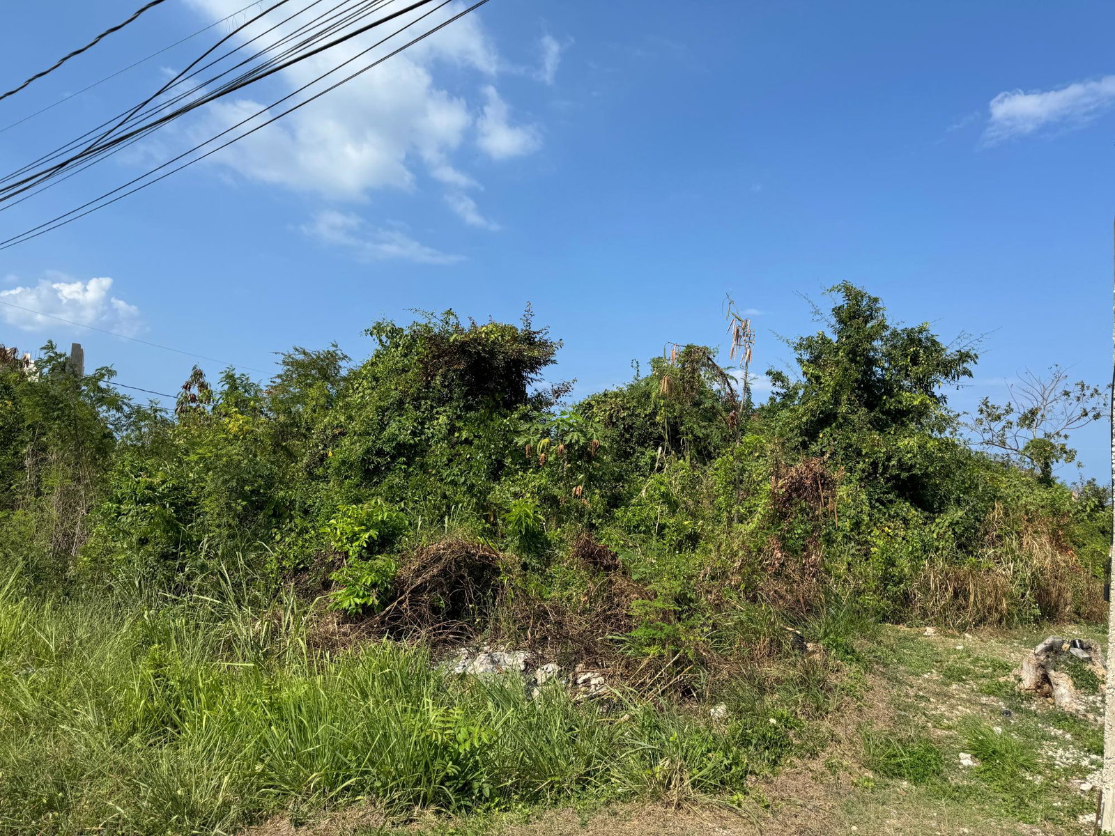 Prime-Residential-Lot-for-Sale-in-Ocean-Ridge-Estates-Jamaica Fourth image of Ocean Ridge Estate in Ocean Ridge Estate, St. James, Jamaica - property is For Sale