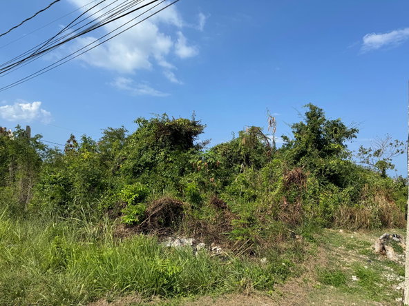Fourth image of Ocean Ridge Estate in Ocean Ridge Estate, St. James, Jamaica - property is For Sale