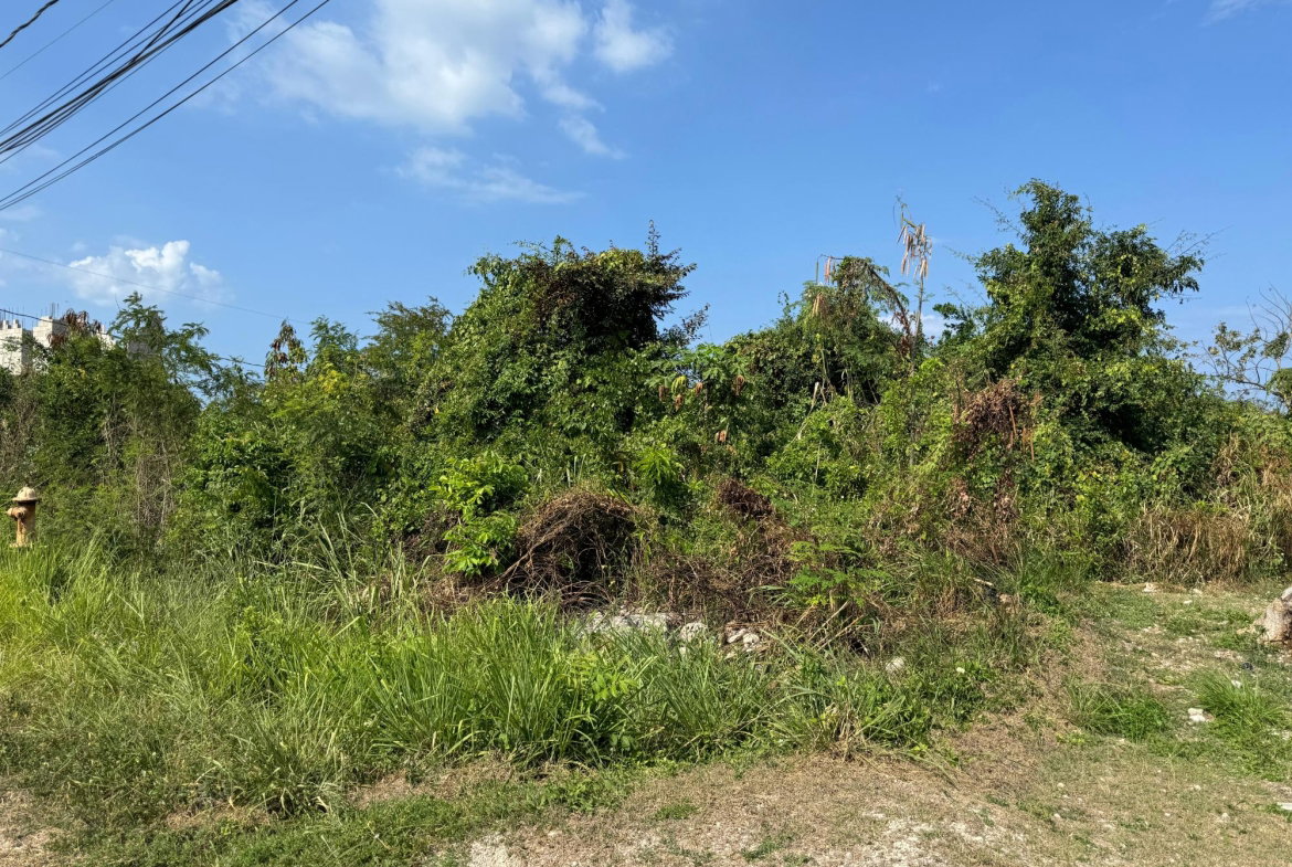 Fifth image of Ocean Ridge Estate in Ocean Ridge Estate, St. James, Jamaica - property is For Sale