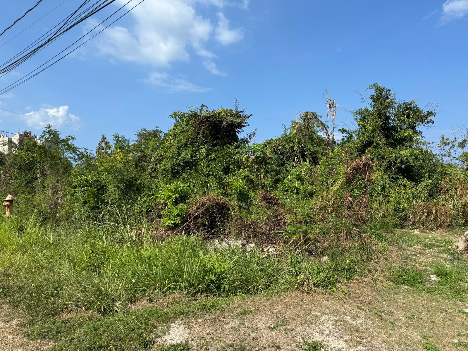 Prime-Residential-Lot-for-Sale-in-Ocean-Ridge-Estates-Jamaica Fifth image of Ocean Ridge Estate in Ocean Ridge Estate, St. James, Jamaica - property is For Sale