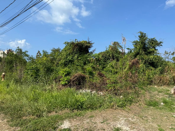 Fifth image of Ocean Ridge Estate in Ocean Ridge Estate, St. James, Jamaica - property is For Sale