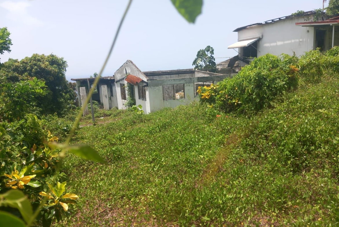 Sixth image of Wydah in St. Margaret's Bay, Portland, Jamaica - property is For Sale