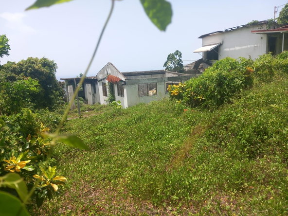 Sixth image of Wydah in St. Margaret's Bay, Portland, Jamaica - property is For Sale