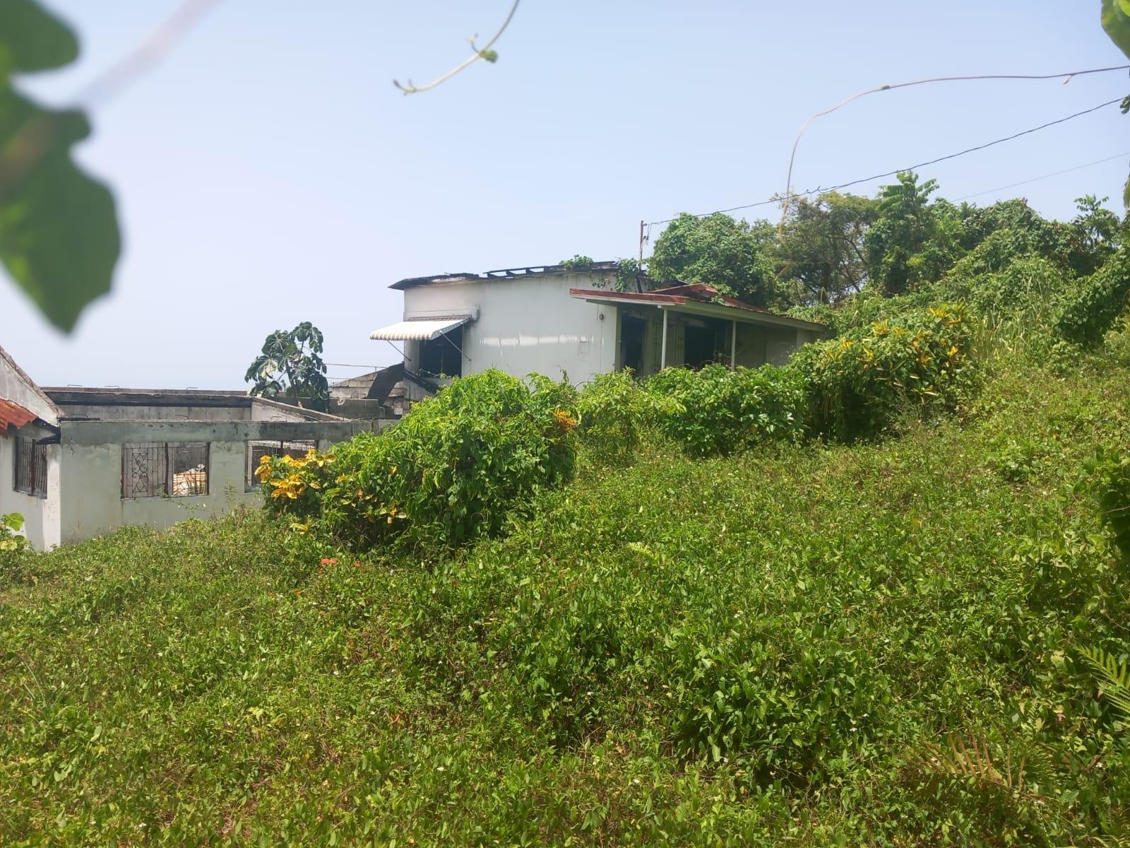 Seventh image of Wydah in St. Margaret's Bay, Portland, Jamaica - property is For Sale